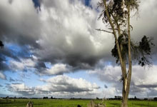 首次登陆北京，这场国际网球赛即将在昌平举行.