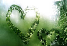 [图]连丢4球1-4遭莱比锡逆转 多特落后前四5分.