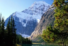 辉达娱乐官网：天津渤海银行女排横扫河南队.